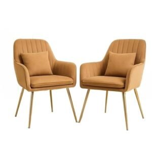 Outdoor Chairs with Pillow | Modern Armchair in Velvet Fabric with Golden Legs | Set of 2 Chair for Home, Office, Cafe Combo Chair and Pillow (Pink)
